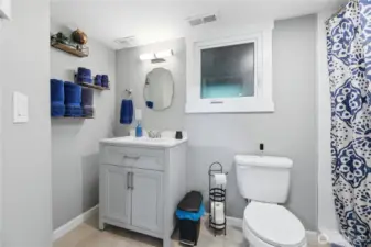 Basement bath with walk-in shower