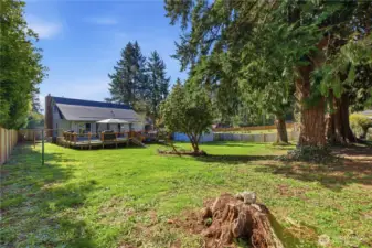 This yard is so private