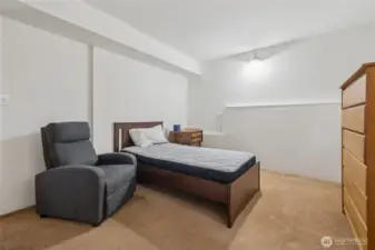 Lower level bedroom.