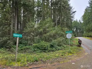 Property located at the corner of Camus Road and Edgewood Drive.