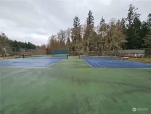 Pickleball & Tennis Court