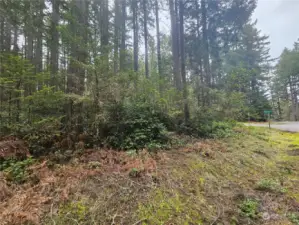 Property located at the corner of Camus Road and Edgewood Drive.