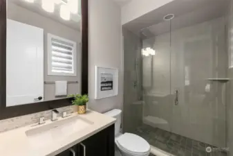 Main level suite bathroom