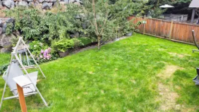 Backyard with garden boxes and luscious landscaping