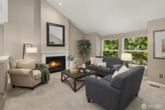 Living room with faulted ceilings