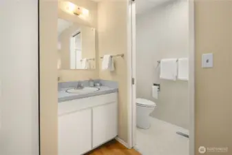 Primary bath ensuite bath