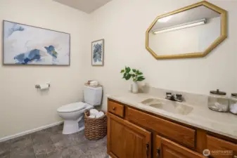 Large lower level bath