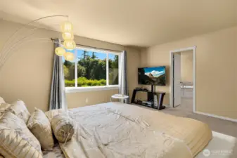 Luxurious primary bedroom with views of the backyard.