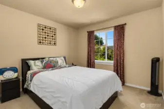 Upper bedroom with custom closet organizer.