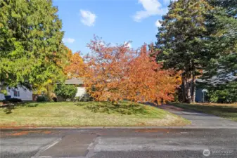 Ample Drive Way Parking