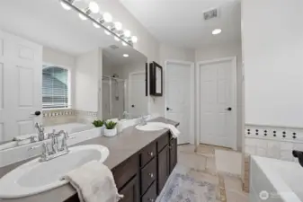 Private primary bath paired with a walk-in closet.
