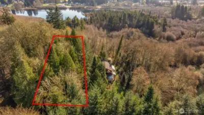 Aerial 1 - over 2/3 acre of forested land in North Olympia