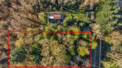 Aerial 2 - over 2/3 acre of forested land in North Olympia