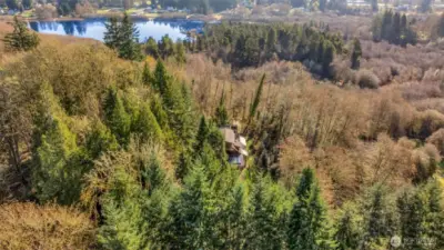 1506 Ann St NE - Aerial - over 2/3 acre of forested land in North Olympia