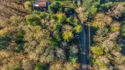 1506 Ann St NE - Aerial - over 2/3 acre of forested land in North Olympia