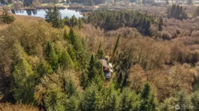 1506 Ann St NE - Aerial - over 2/3 acre of forested land in North Olympia