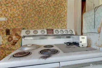 Original Wallpaper? Probably! Also notice the ironing board cabinet behind the fridge.