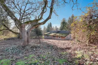 View from the Top portion of the Lot, behind the house.