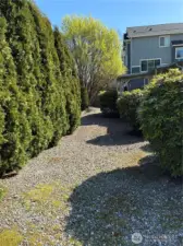 Green in Front Yard + no grass to mow.