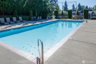 The community outdoor pool is ready for you to enjoy this Summer!