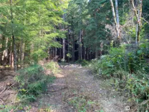 Road from adjacent property