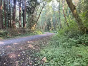 Kallman Road