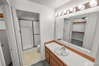 primary vanity is separate from the shower & stall