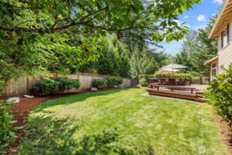 Plenty of yard to enjoy