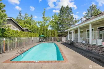 Community Pool