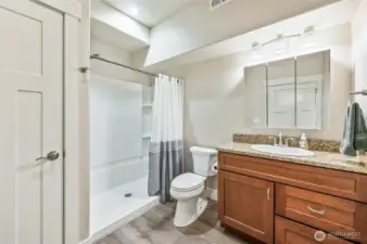 Lower level bathroom