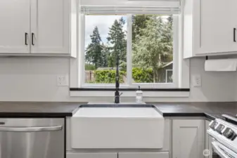 Farm Sink