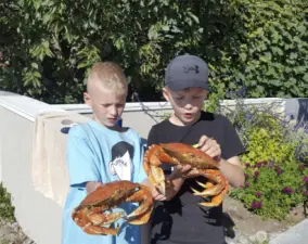 Kids catch crab and do handstands in the warm water. Many memories to come.