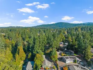 The home feels so private, surrounded by beautiful trees. You can see Cougar Mountain Regional Wildland Park in the distance! It's a short drive to Coal Creek Falls, Maplewood Golf Course, and Licorice Fern Trailhead.