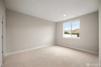 1 of the lower bedrooms