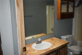 Hall Bathroom
