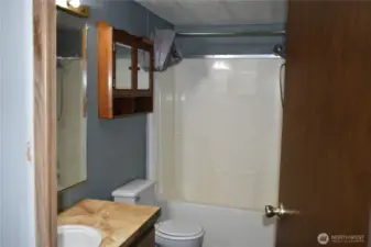 Hall Bathroom