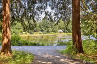 View of majestic trees leading to the home that is being sold . Just across the street for Lake Gardner.   Picnic are and  boating, with 18 acres of Horse trails.