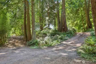 As soon as you drive to the lake, across the street....You will see signs and an incredible,  unbelievable first cedar, circular drive way....