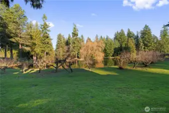 Start your day with a peaceful morning walk around the scenic community lakes.