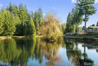 Stroll along serene community lakes or unwind on a bench, taking in the tranquil scenery of trees, shimmering water, and playful ducks—pure peacefulness.