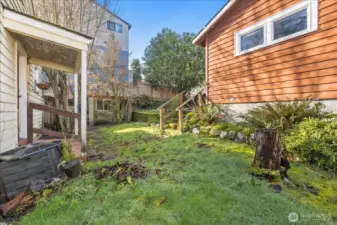 Backyard - between house and garage