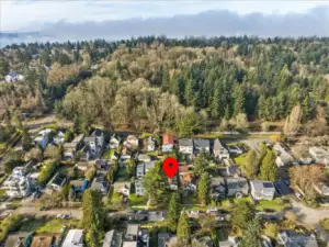 Looking west toward Discovery Park