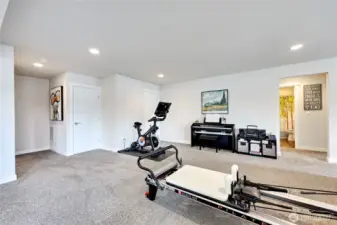 Lower level family room