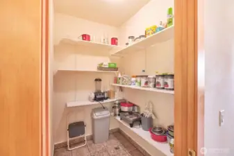 Large walk-in pantry keeps counter clutter to a minimum