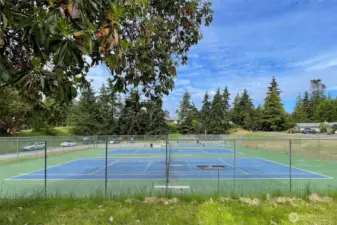 Tennis & pickleball courts