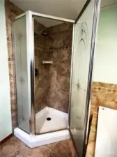 Shower stall in primary bathroom.