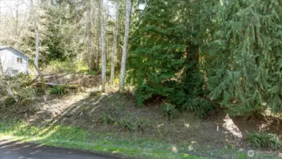 Recently cleared out the front section of property