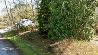 Recently cleared out the front section of property, new construction home being built next door.