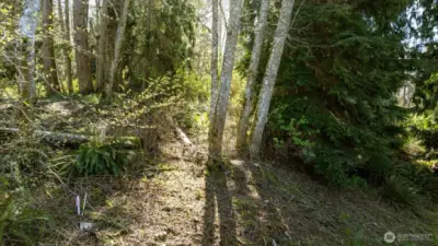 Corner marker in bottom left hand side of photo