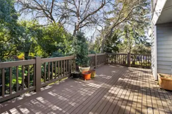 Spacious private deck